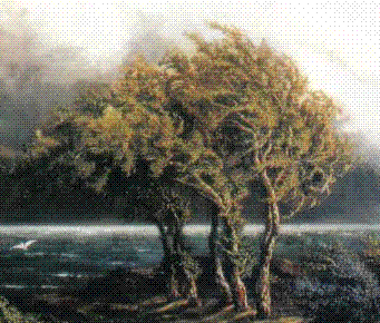 le-rous-4.gif